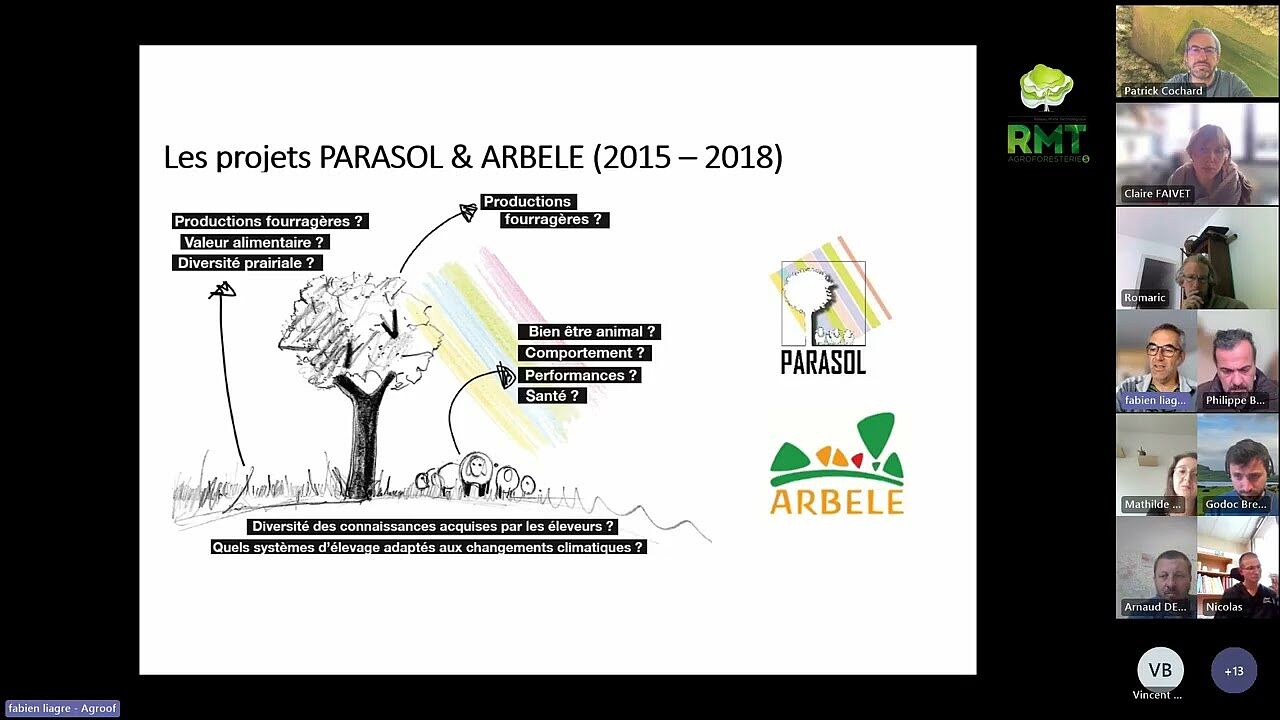 Agroforesterie - le microclimat des arbres en élevage
